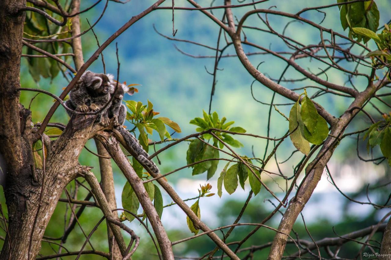 Pousada Morro Do Forte パラチ エクステリア 写真